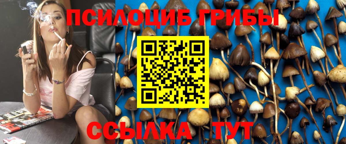 Галлюциногенные грибы прущие грибы Шадринск