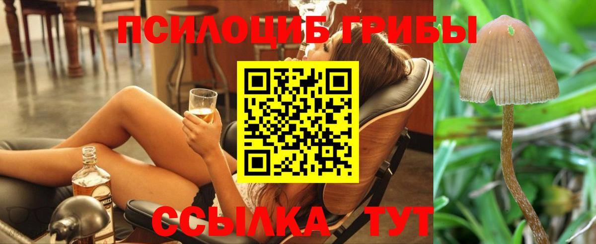 Псилоцибиновые грибы мицелий  Вход с VPN  Шадринск 